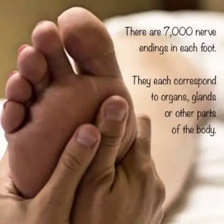 Hands performing reflexology on a foot with educational text about nerve endings and body connection at Sage Holistic Arts.